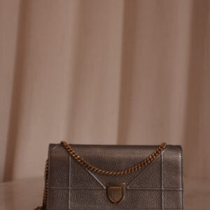 Christian Dior diorama silver metallic wallet on chain Bag