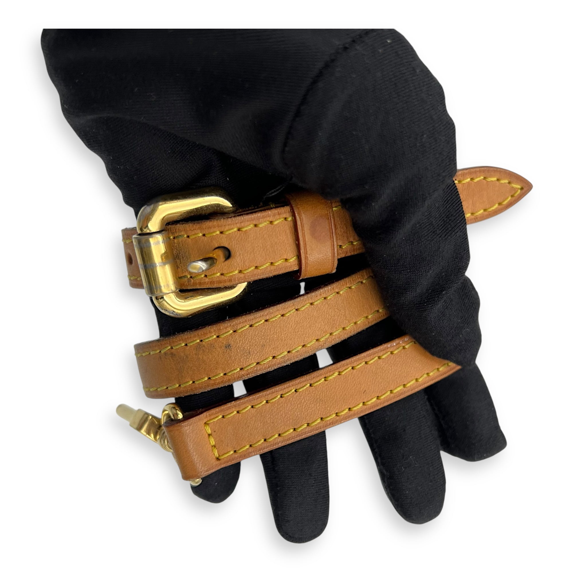 Palermo PM Brown Top Handle Bag in Monogram Coated Canvas, Gold hardware - Image 15