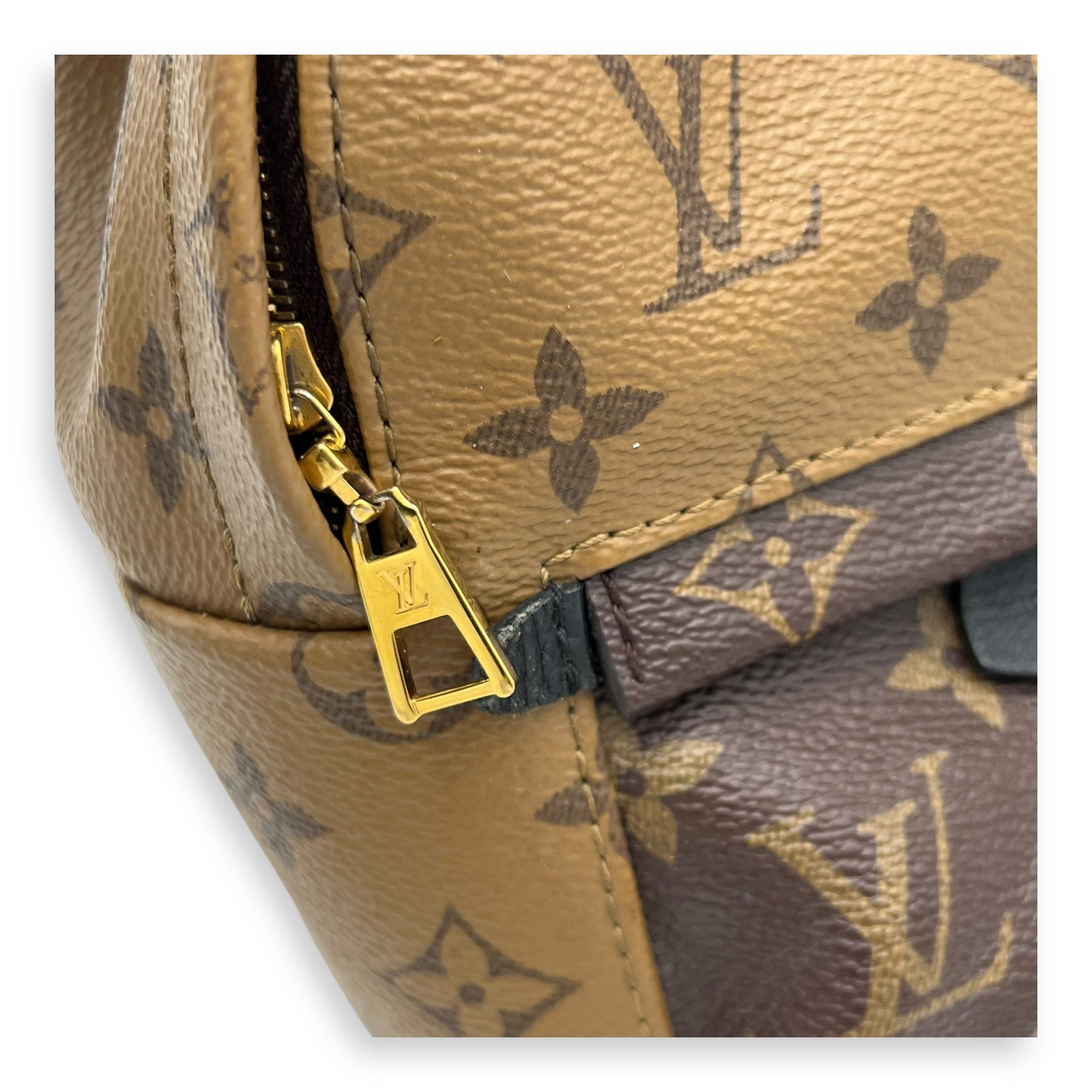 Palm Springs Mini Brown Backpack in Monogram Coated Canvas, Gold hardware - Image 9
