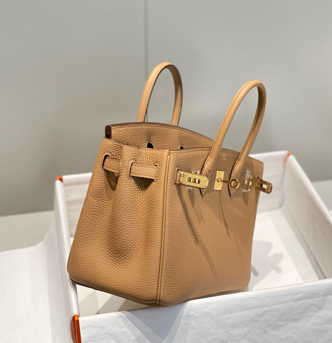 Hermes Birkin 25cm Bag In Chai Clemence Leather GHW - Image 5