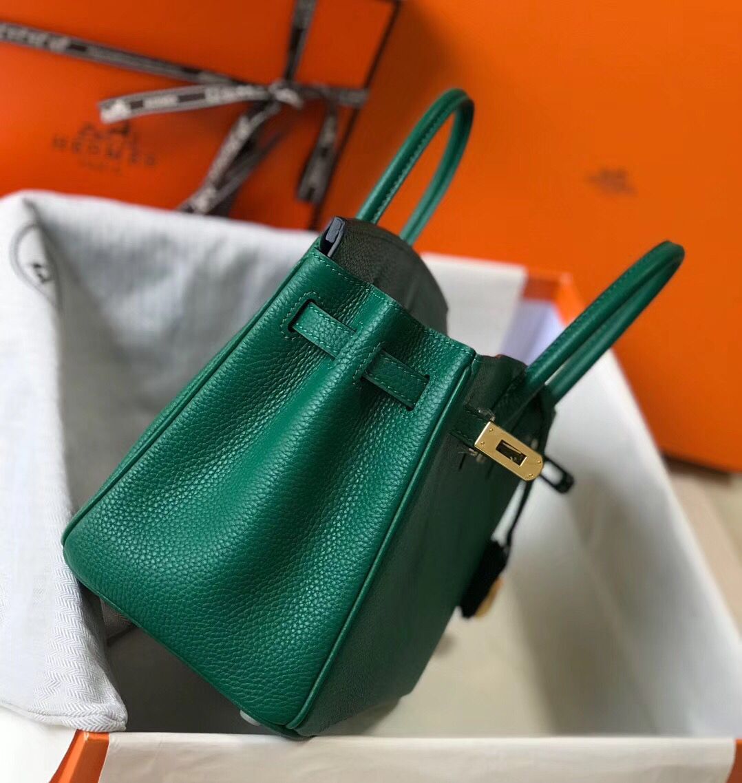 Hermes Birkin 25cm Bag In Vert Vertigo Clemence Leather GHW - Image 5