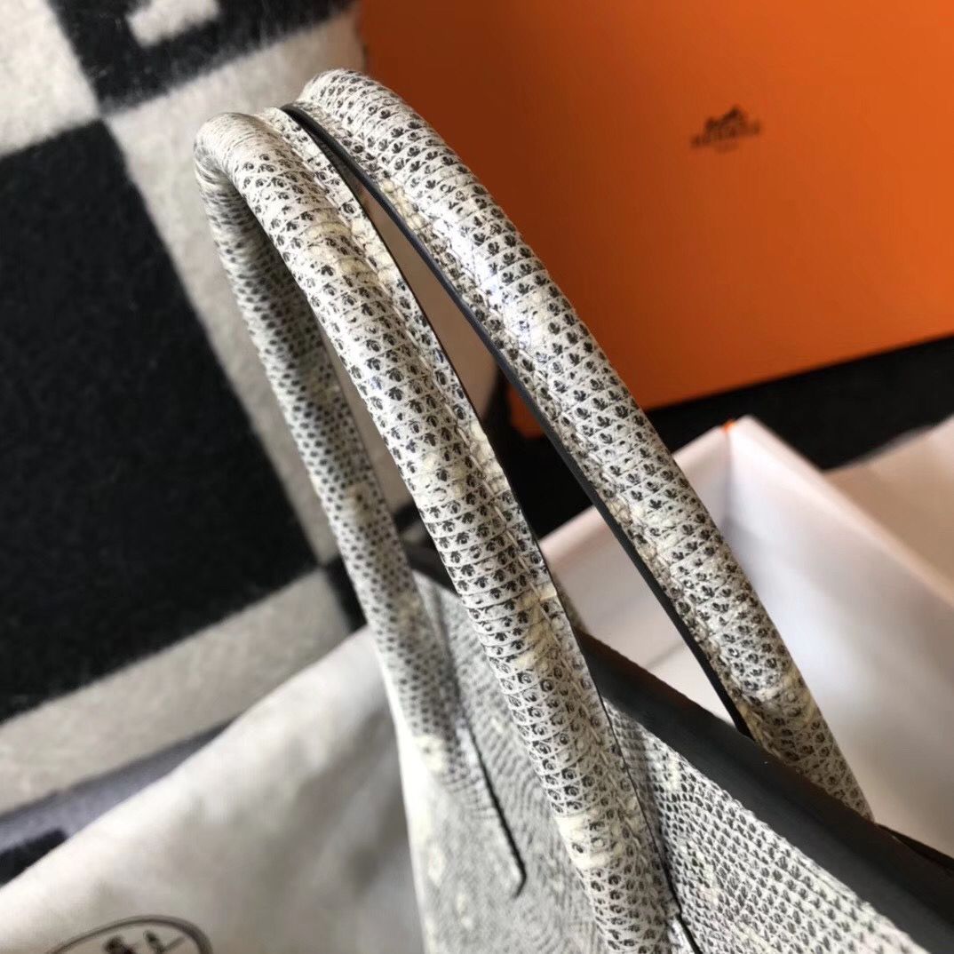 Hermes Birkin 25cm Bag In Ombre Embossed Natural Lizard - Image 4