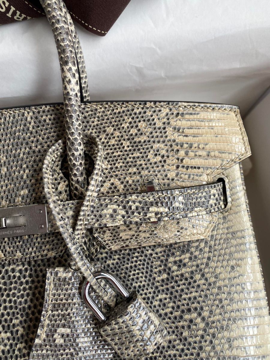 Hermes Birkin 25 Retourne Handmade Bag In Ombre Lizard Leather - Image 4