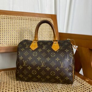 Louis Vuitton Monogram Speedy 25 Tote Bag