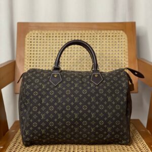 Louis Vuitton Monogram Idylle Speedy Bag